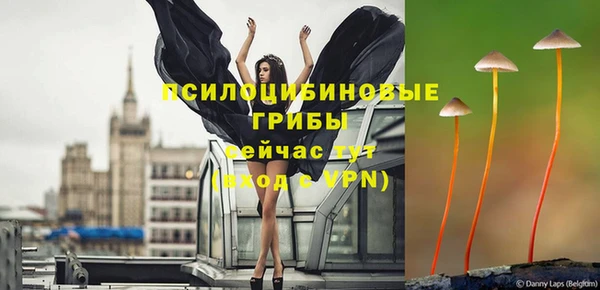 PSILOCYBIN Алексин